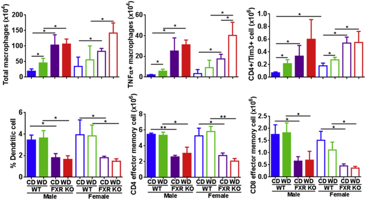 Figure 6