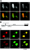FIG. 4.