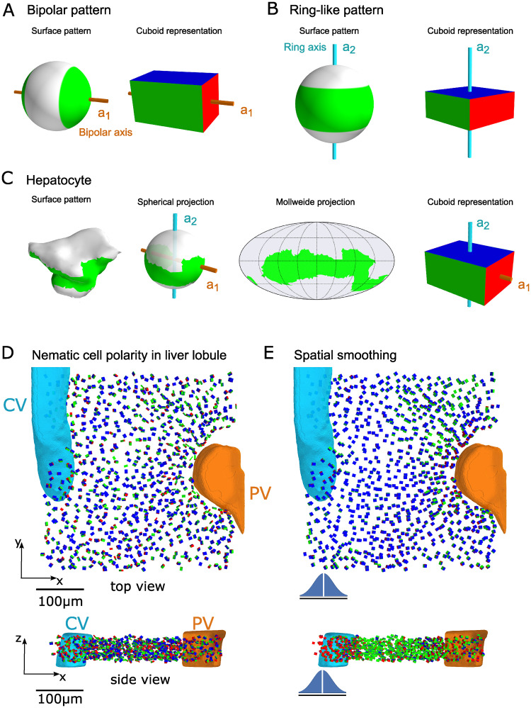 Fig 2