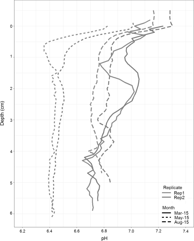 Fig. 4