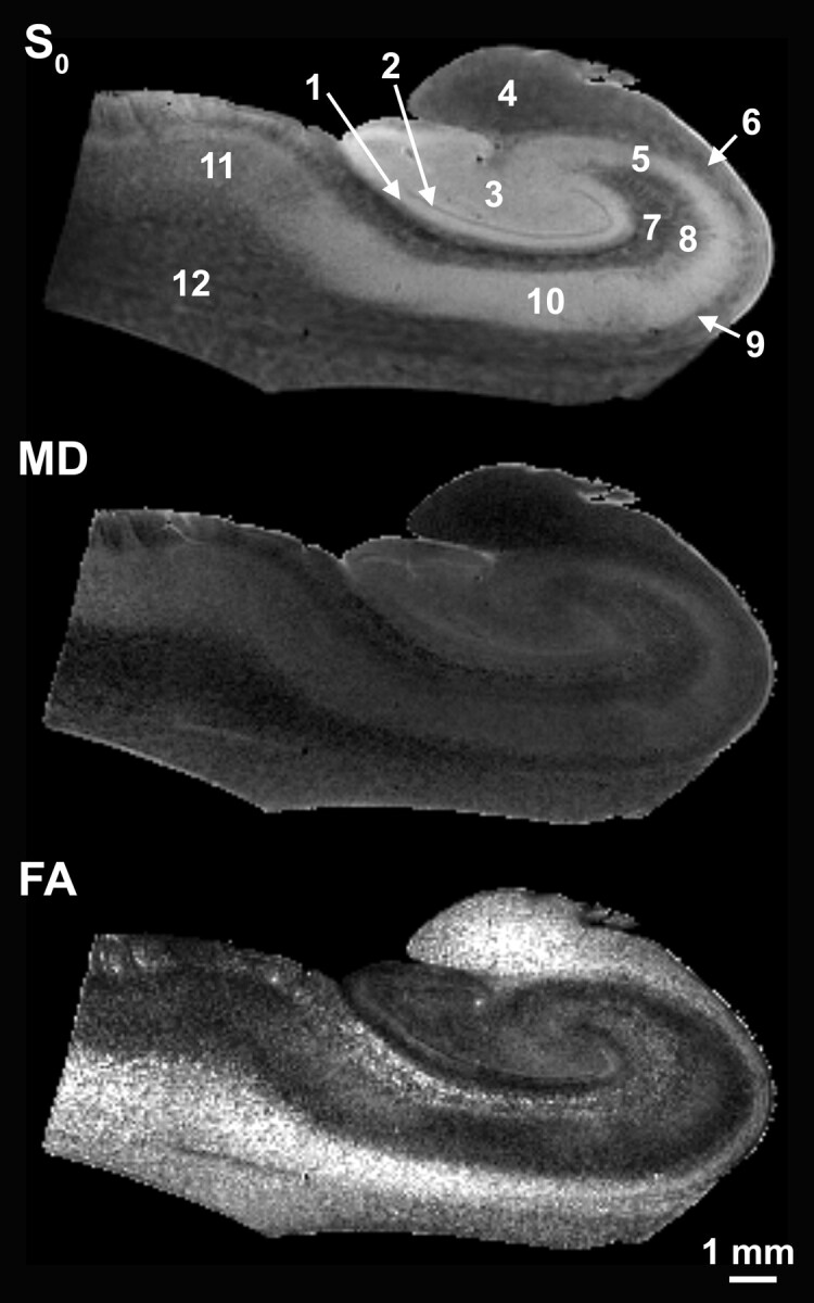 Fig 5.