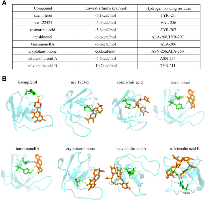 FIGURE 6