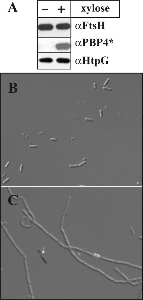 FIG. 5.