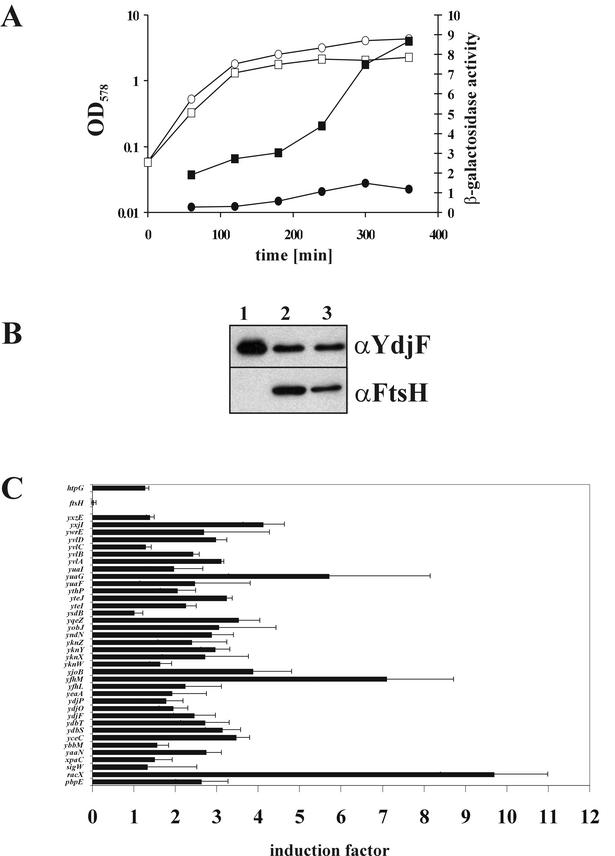 FIG. 7.