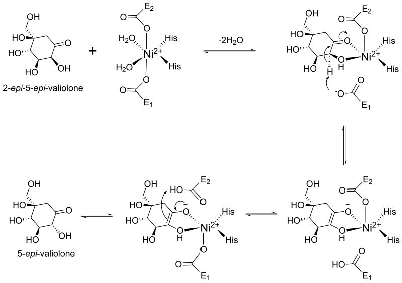 Scheme 3