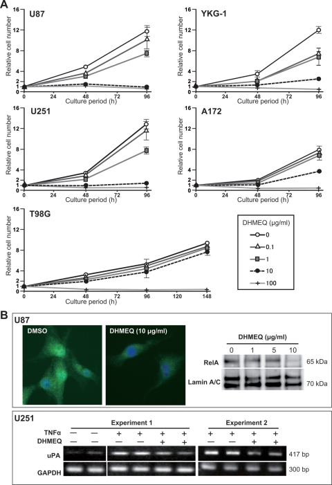 Fig. 2.