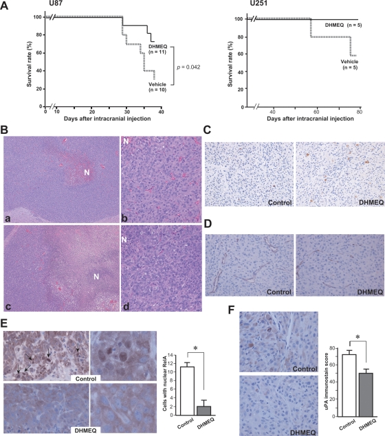 Fig. 6.