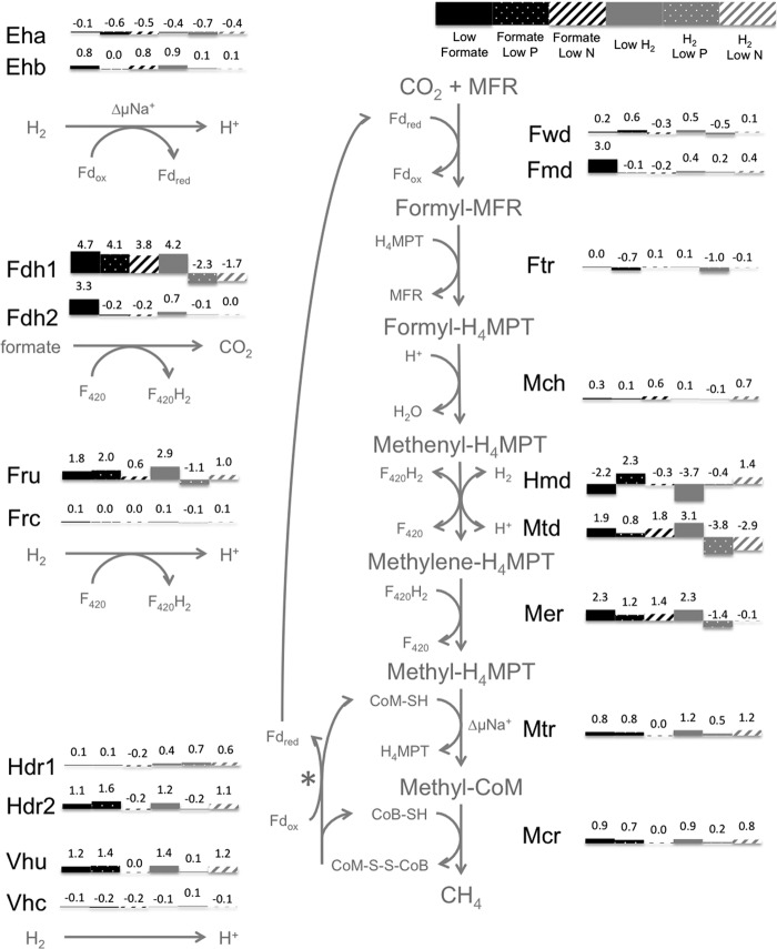 Fig 4