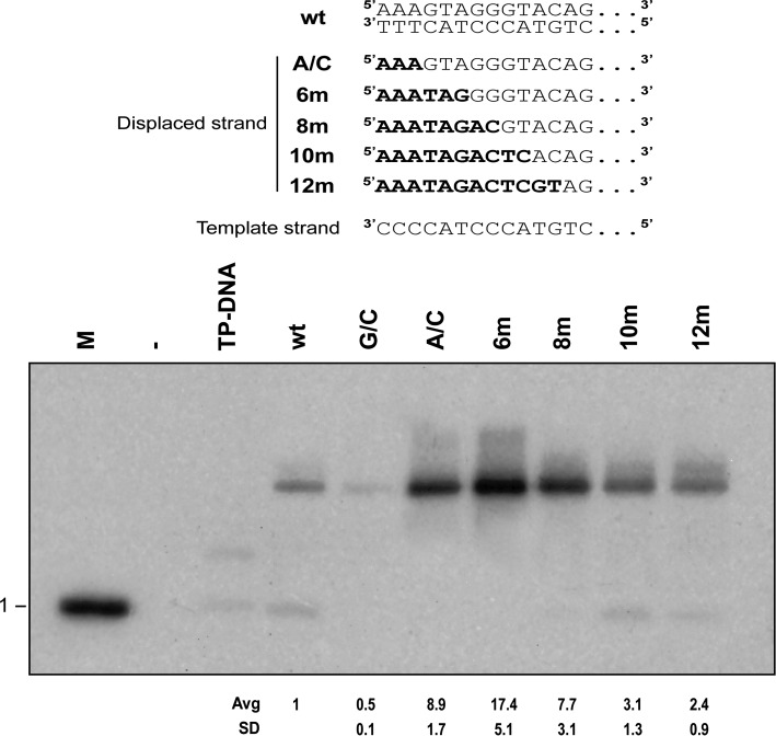 Figure 4.