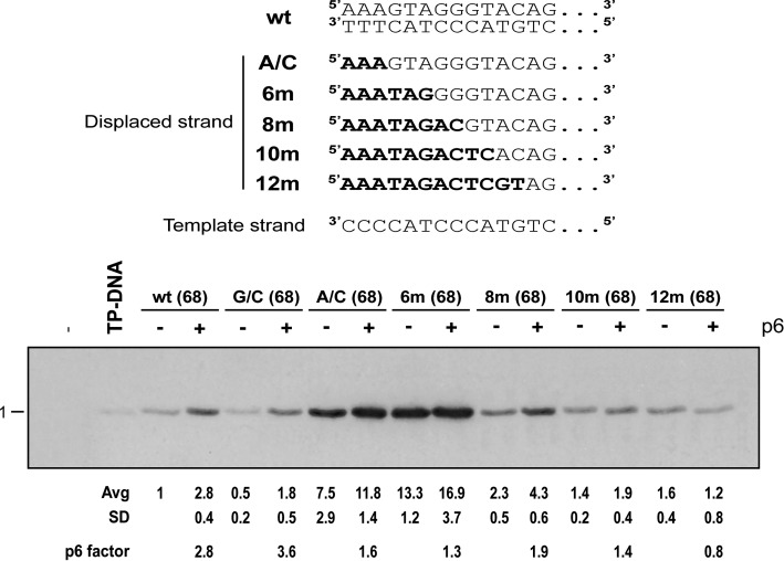 Figure 7.