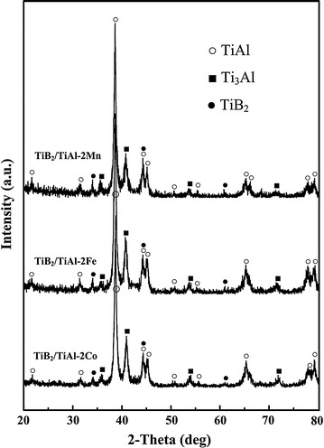 Fig. 1