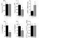 Figure 3—figure supplement 1.