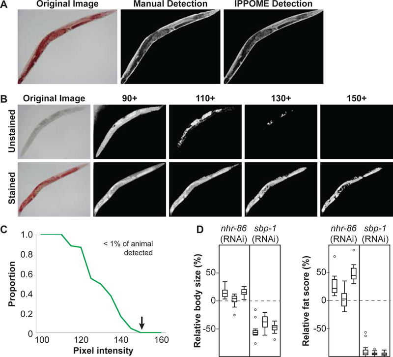 Figure 2-