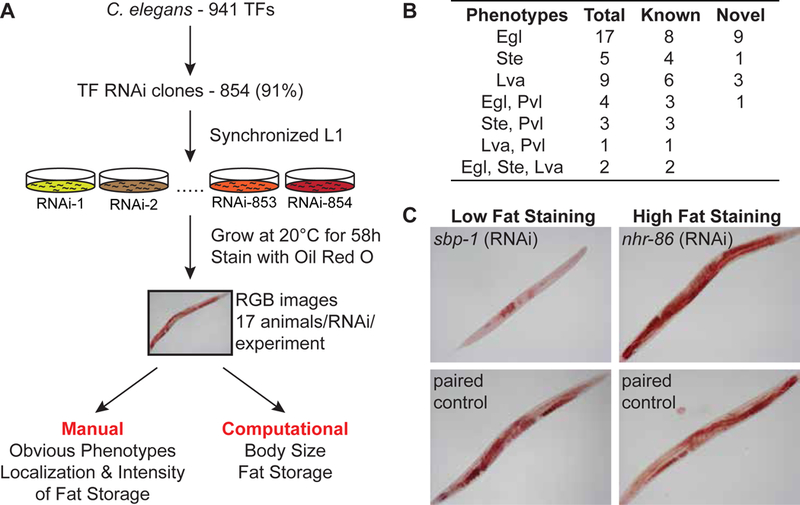 Figure 1-