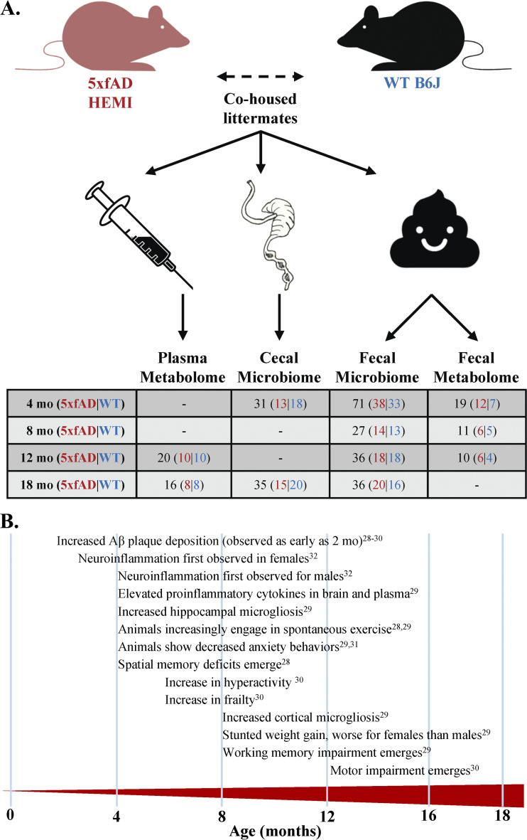 FIG 1