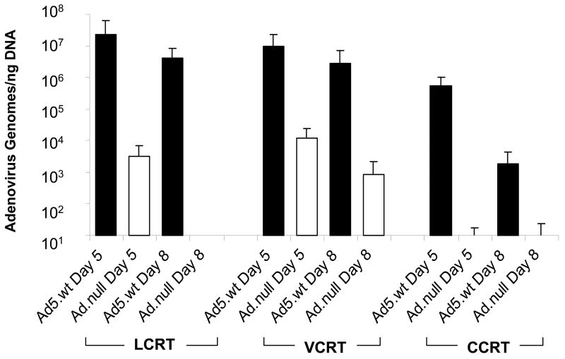 FIG 6