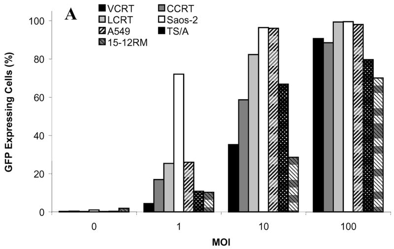 FIG 1