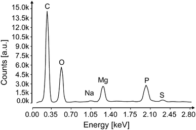 Fig. 8