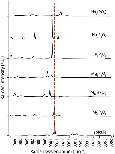 Fig. 9