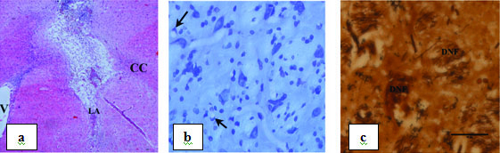 [Table/Fig-8]: