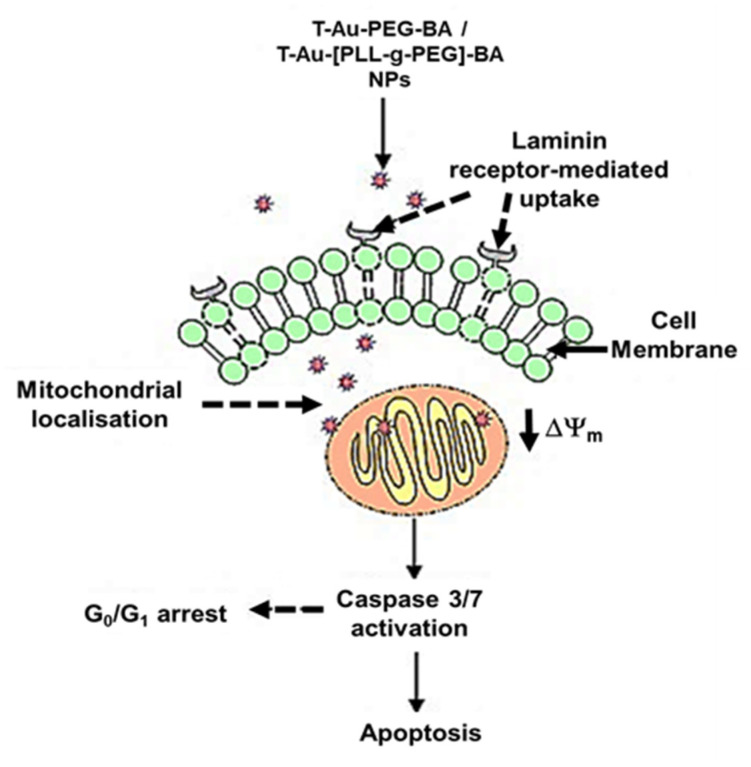 Figure 14