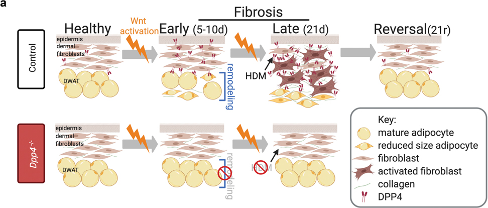 Figure 5: