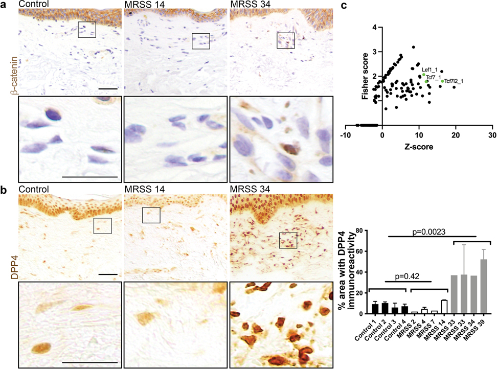 Figure 3: