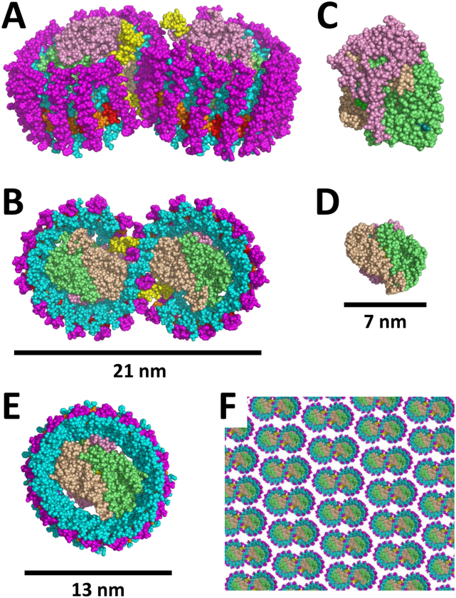 Fig. 1