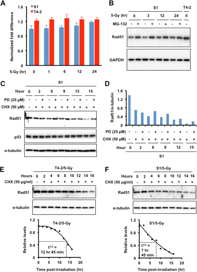 FIG 6