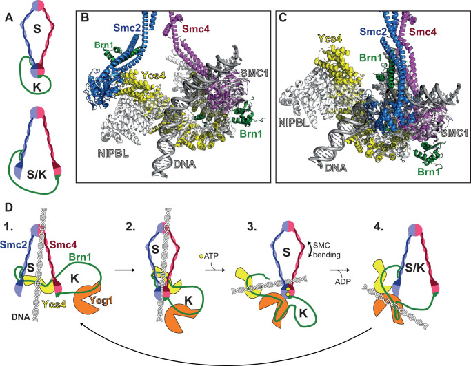 Figure 3.