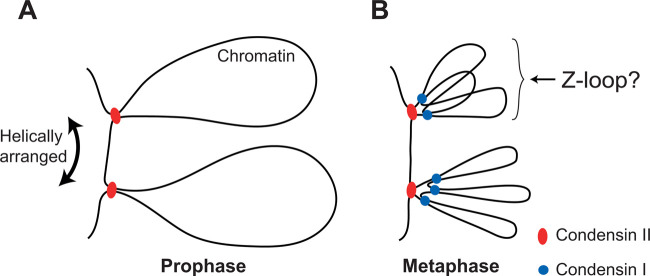 Figure 4.