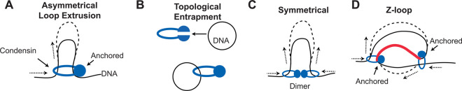 Figure 2.