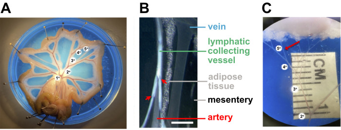 Figure 4.