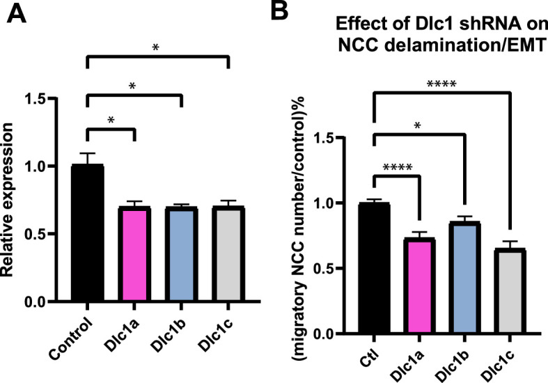 Figure 6—figure supplement 1.