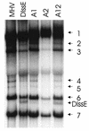 FIG. 5