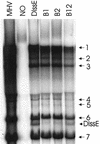 FIG. 6