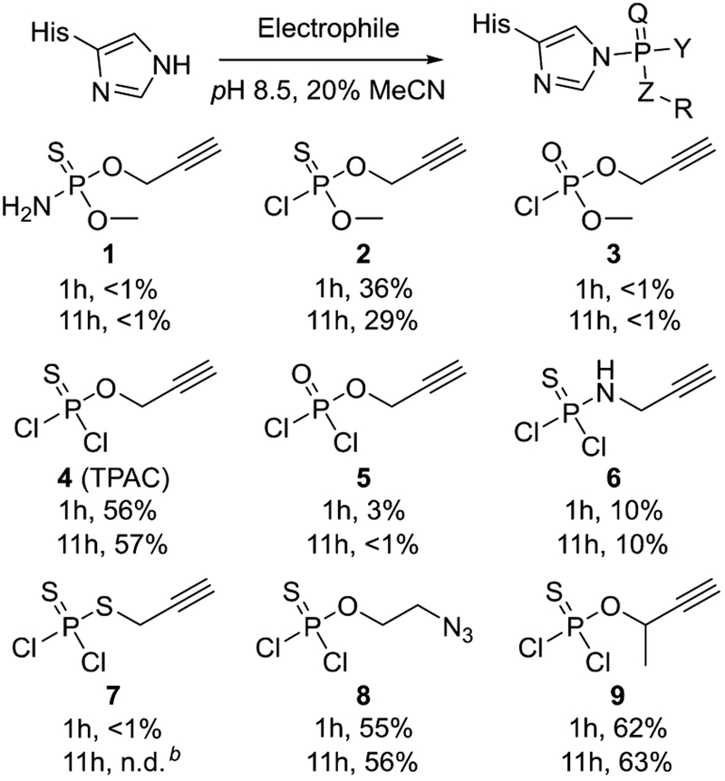 Scheme 2.