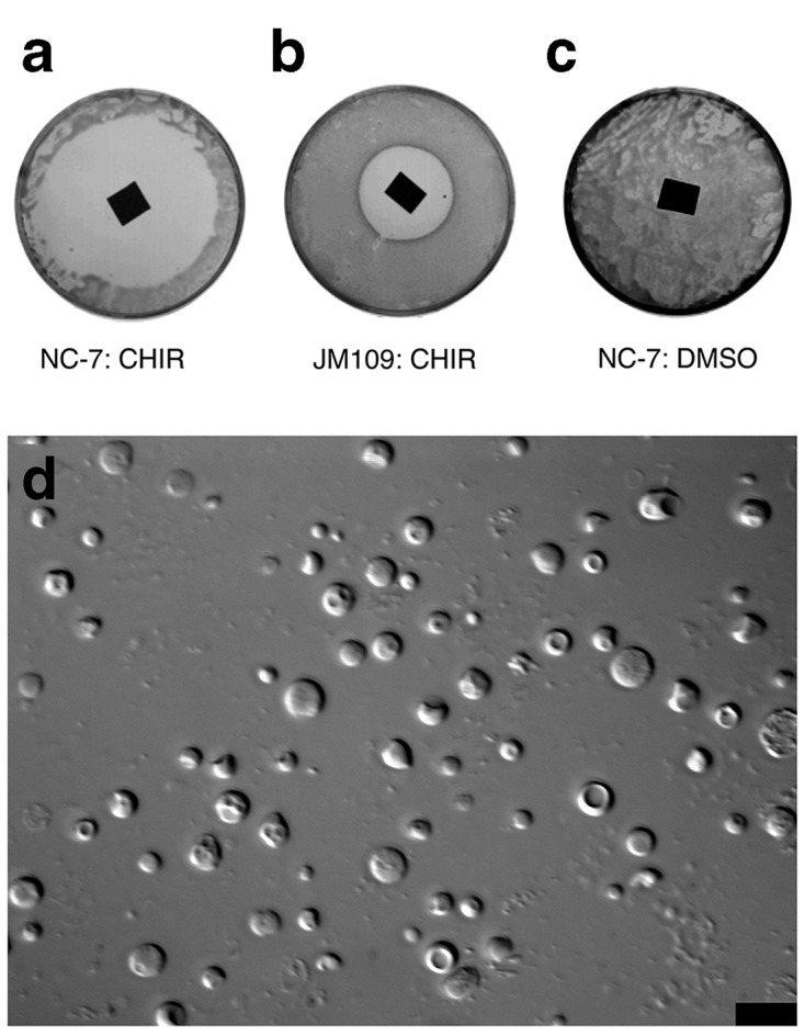 Fig. 2.