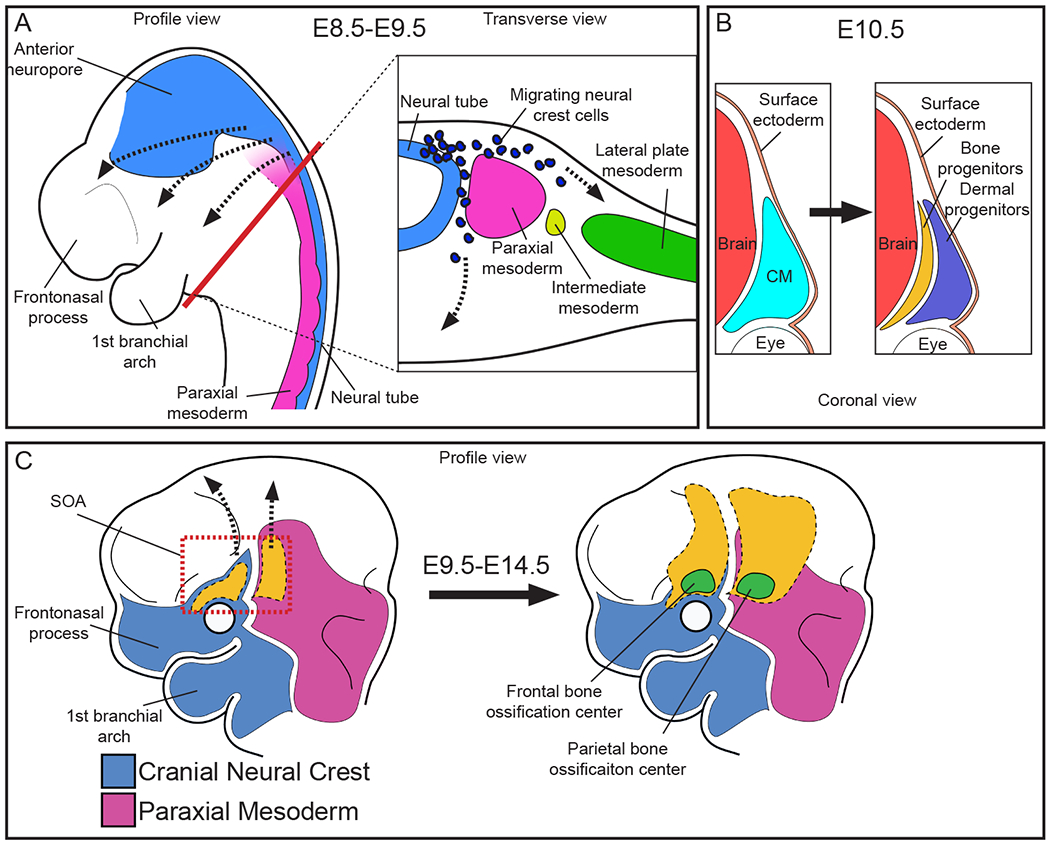 Figure 2: