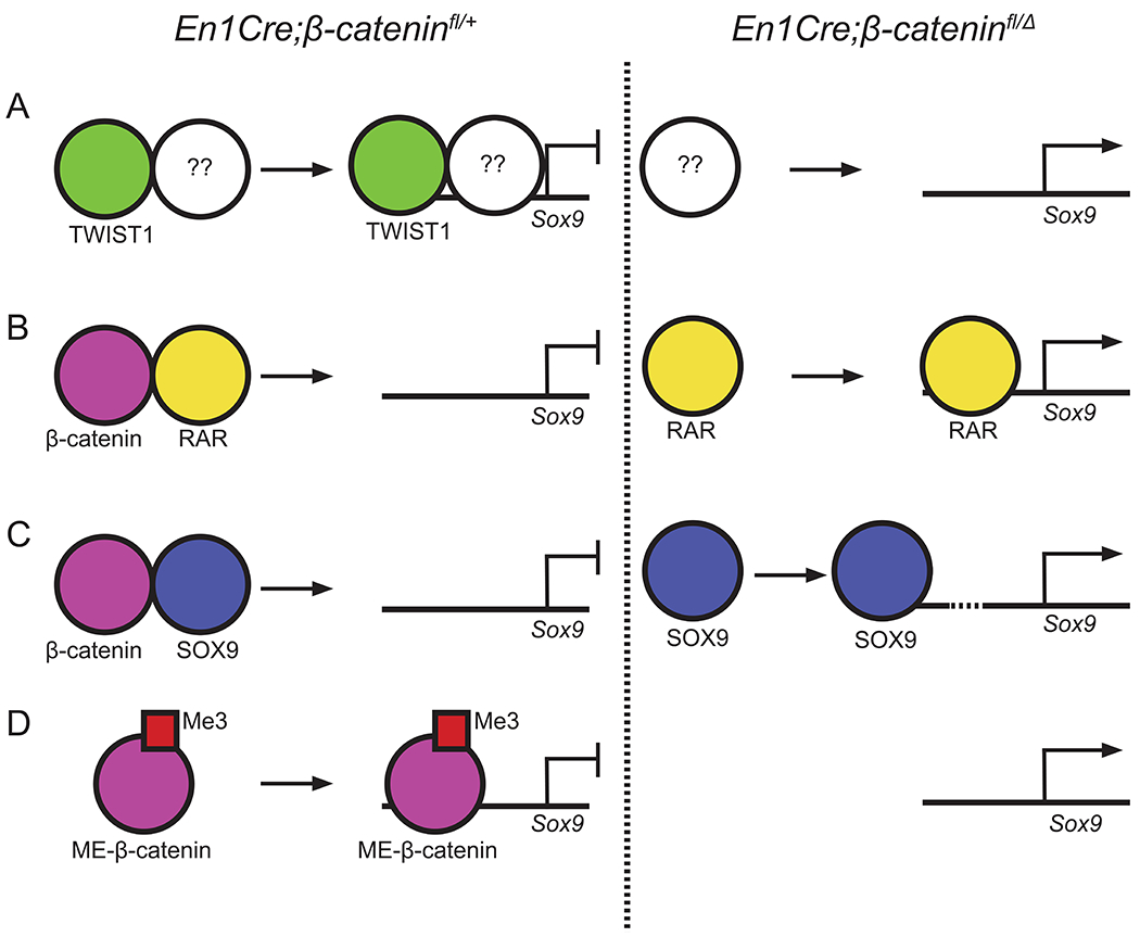 Figure 3: