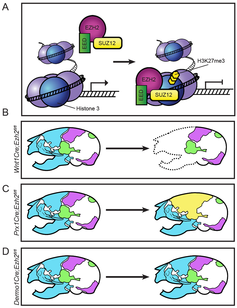 Figure 4: