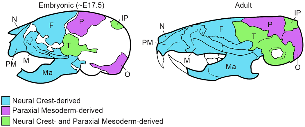 Figure 1: