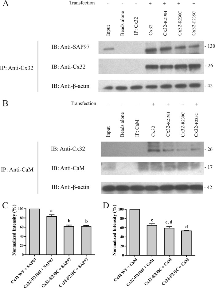 FIGURE 13.