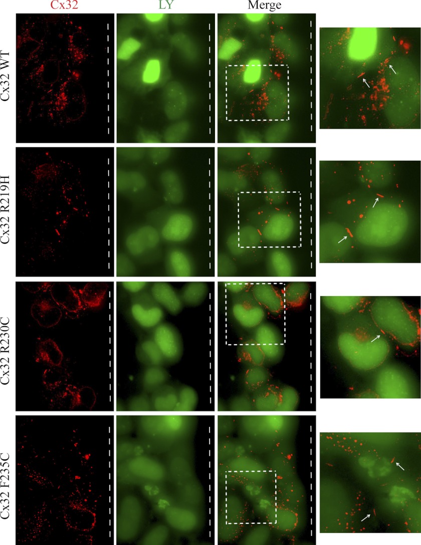 FIGURE 10.