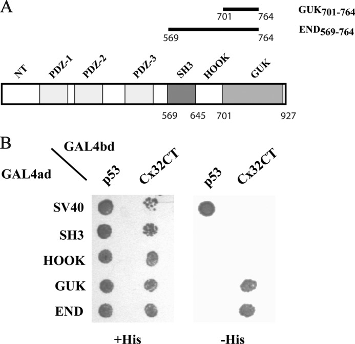 FIGURE 2.