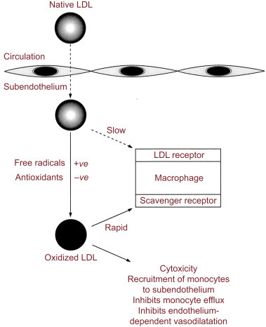 Figure 12.7