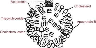 Figure 12.8