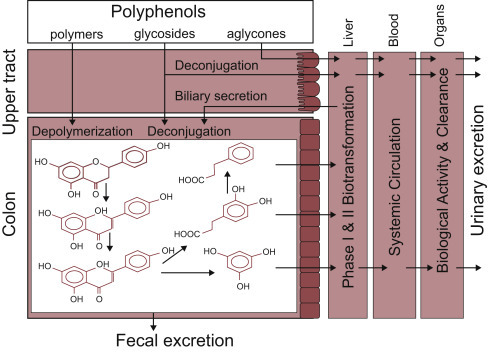 Figure 12.5