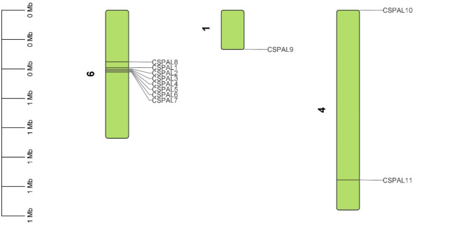 Fig. 7