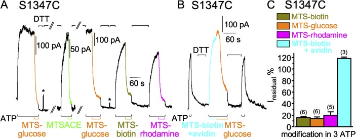 Figure 9.